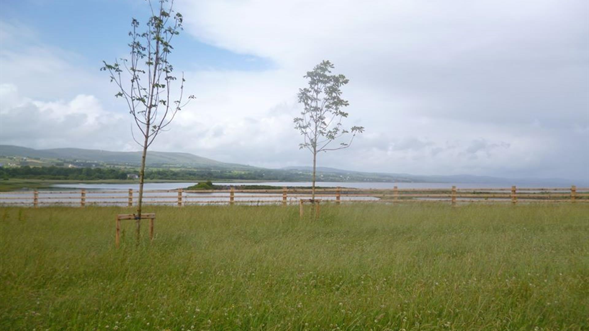 Views over Lough Foyle from Culmore Country Park