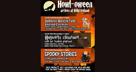Promotional poster, Wild Ireland Halloween event