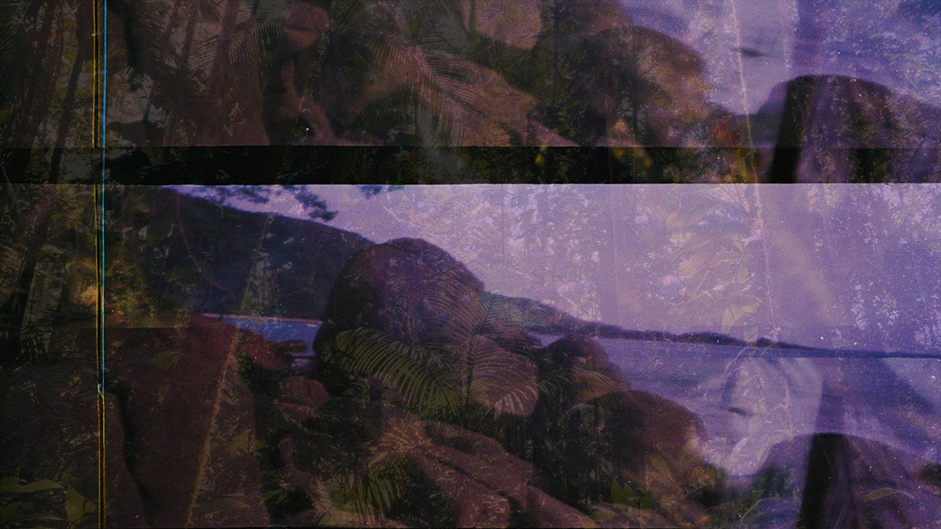 Purple hue overlays an image of a sea inlet with trees and green foliage on the surrounding landscape. An overlay of palm trees sits on the image.