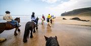 Group on horseback on the beach as part of the Saddle Up by the Sea experience with Crindle Stables