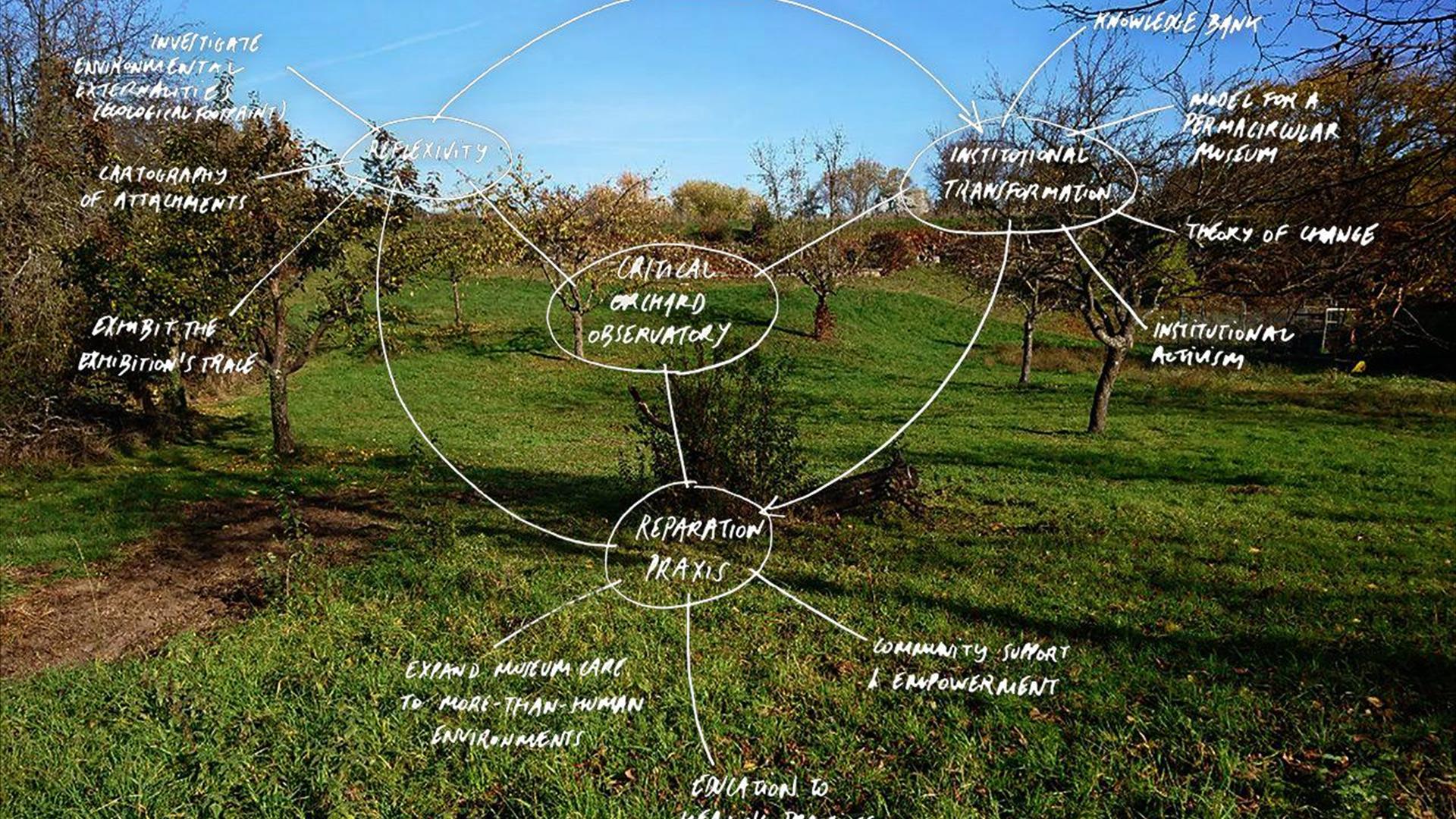 An image showing a mapping exercise. The background is a green space.
