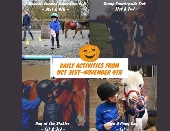 Crindle Stables - Own a Pony For a Day