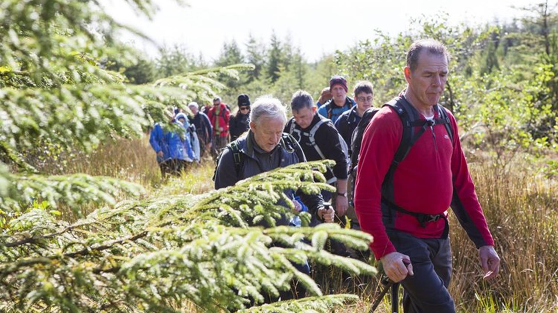 Sperrins and Killeter Walking Festival: (Challenging) ‘Walking off the Edge of the Map’  Carrickaholten- Golandun McHugh- Causeway (11k)