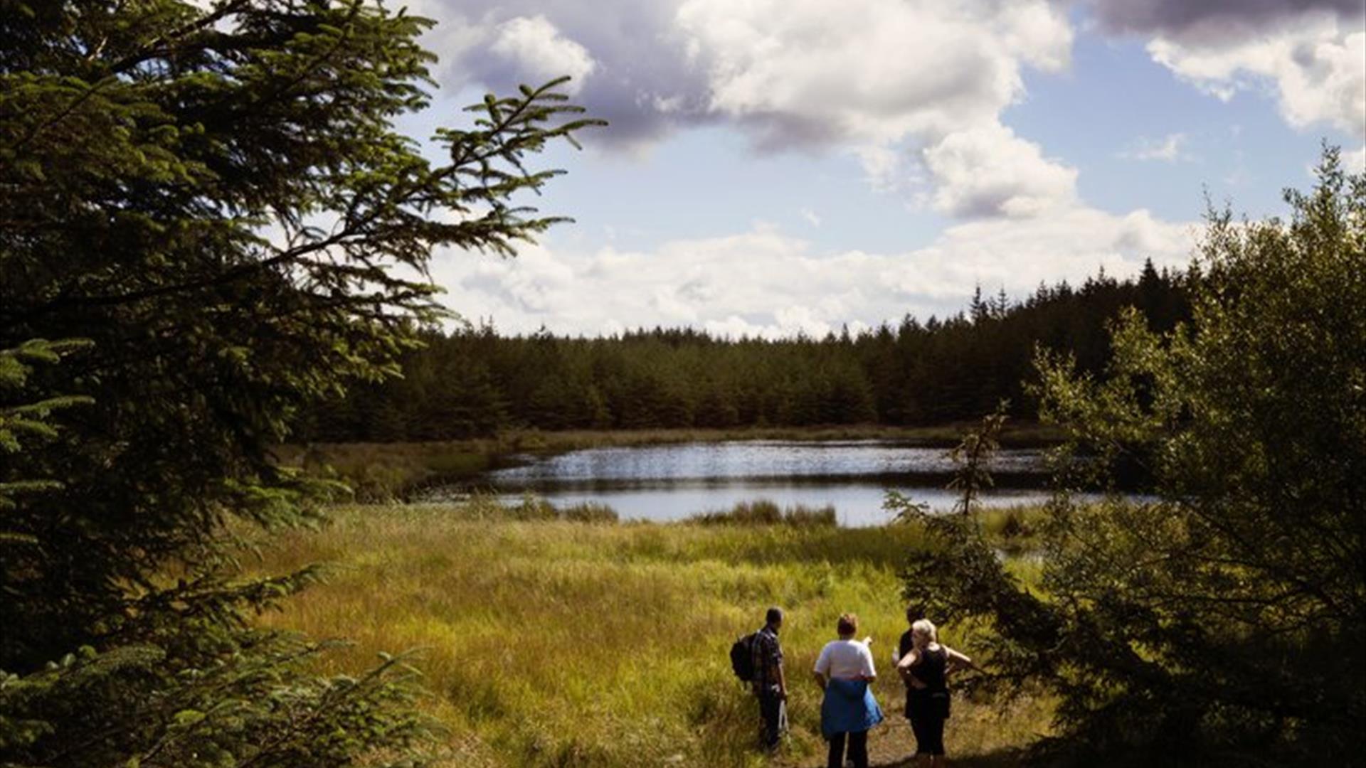 Sperrins and Killeter Walking Festival: (Moderate) Song of the Salmon- ancestral watercourses’ Kelly’s Bridge- Derg Lodge to Carry Mouth (8km)