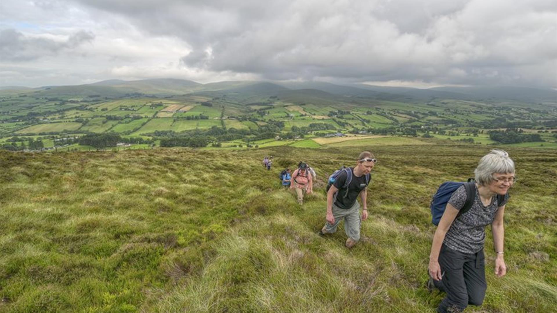 Sperrins and Killeter Walking Festival:  Easy: Foraging your path to Health’-  Balix Boardwalk and Loop (6km)
