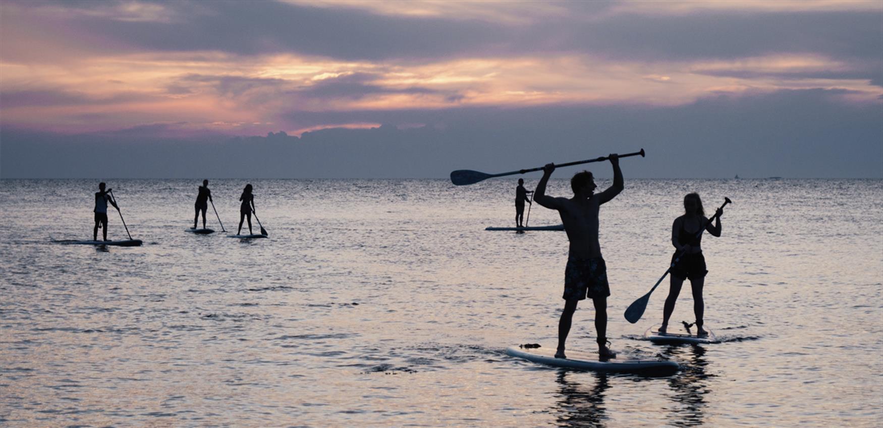 Paddle Boarding Visit Devon
