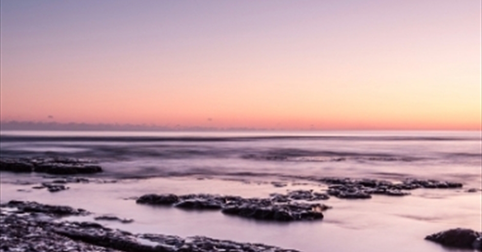 Who we are | Visit Devon