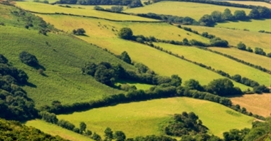 Devon Fact Sheets