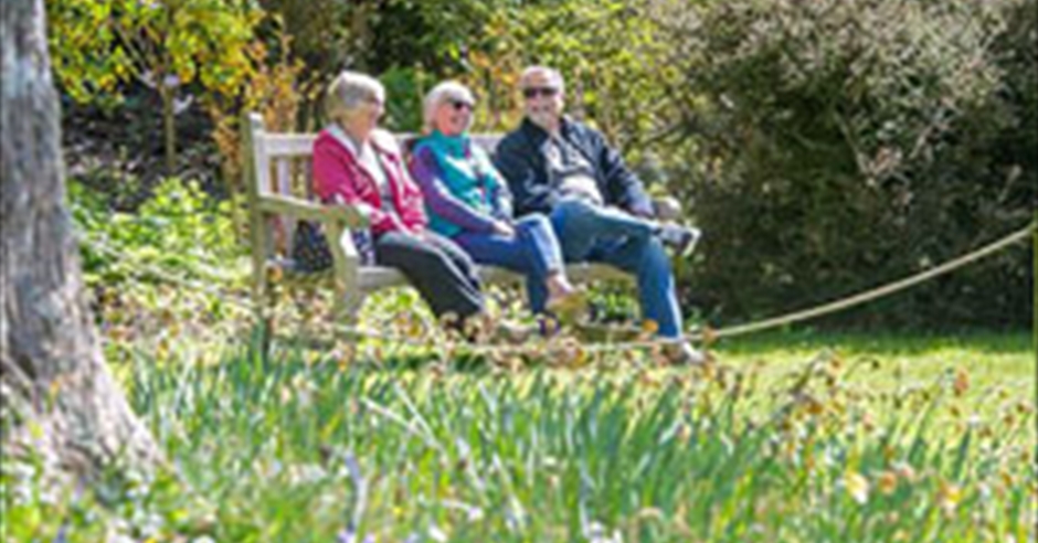 Gardens in Devon - Visit Devon