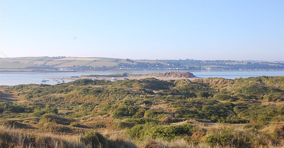 Braunton Burrows - Braunton - Visit Devon