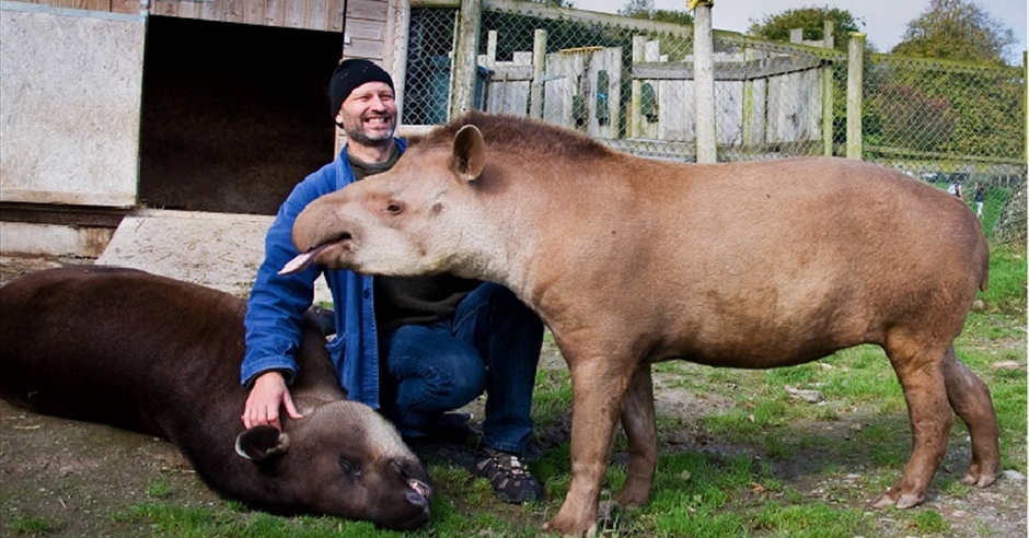 Dartmoor Zoological Park - Plymouth - Visit Devon