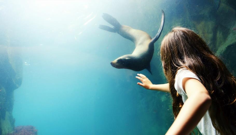 Living Coasts