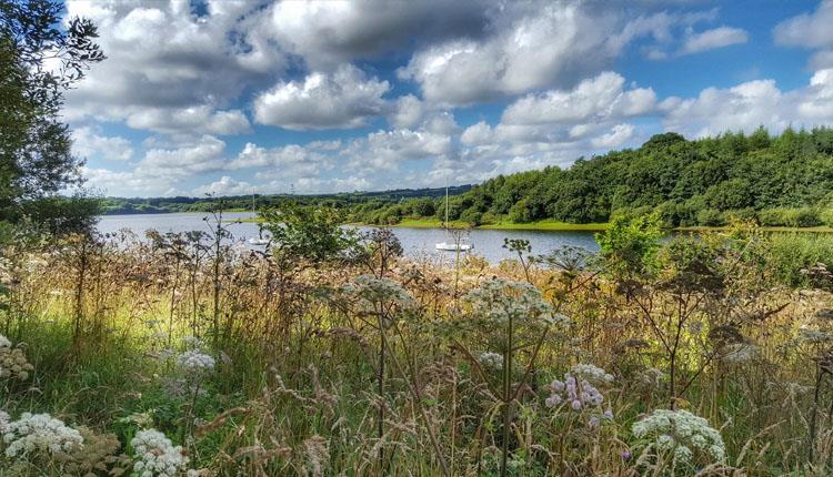 Roadford Lake Camping Lifton Visit Devon