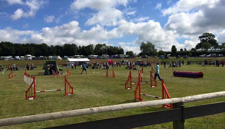 Paignton Championship Dog Show Exeter Visit Devon