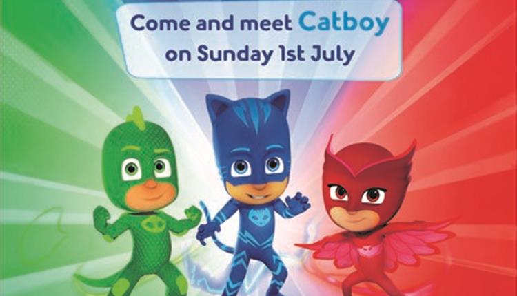 Meet Catboy from PJ Masks - Bideford - Visit Devon