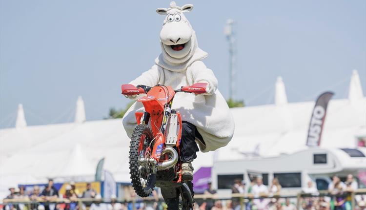 A person in a sheep costume performs a motorcycle jump at an outdoor event, with a crowd watching in the background. The scene is lively and entertain