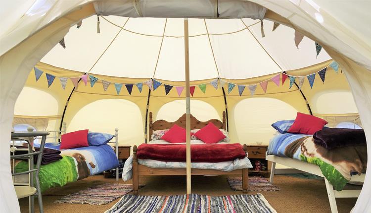 Cheglinch Farm Glamping Wild Camping Ilfracombe Visit Devon