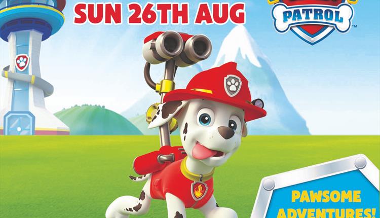 Meet Marshall from Paw Patrol - Bideford - Visit Devon