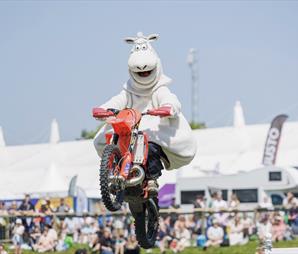 A person in a sheep costume performs a motorcycle jump at an outdoor event, with a crowd watching in the background. The scene is lively and entertain