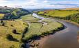 Sharpham reed beds and rewilding fields