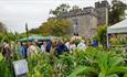 Toby Buckland’s Garden Festival with Powderham Castle in the background