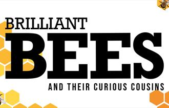 Brilliant Bees and their Curious Cousins