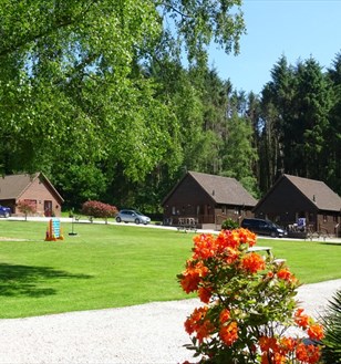 The Beautiful grounds at Alpine Park Cottages