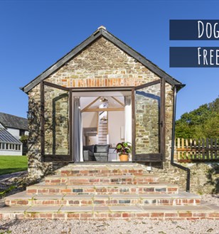dogs free