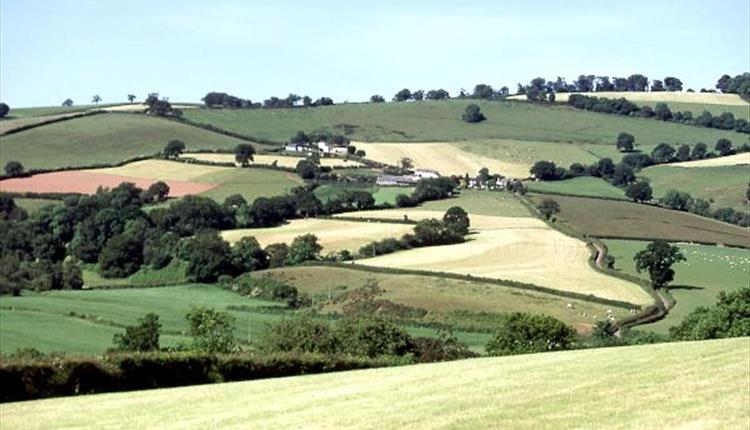 Exe Valley view