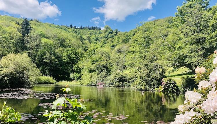 Mums go Free this Mother's Day at Canonteign Falls