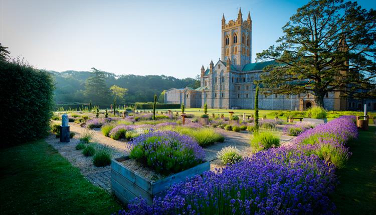 Buckfast Abbey: Being Creative with Lavender