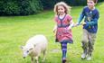 children walking sheep