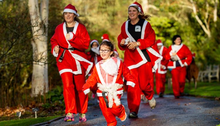 Santas on the Run Goes Freestyle