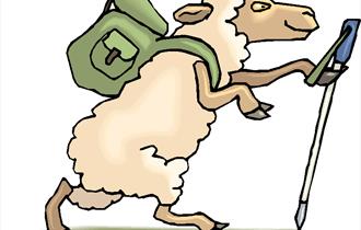 Exeter Woollen Trail - cartoon image of walking sheep. Copyright: Tony Howell