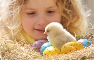 An Egg-ceptional Easter for Devon