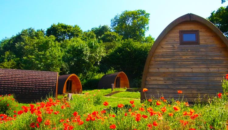Glamping at Whitehill Country Park Paignton