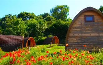 Glamping at Whitehill Country Park Paignton