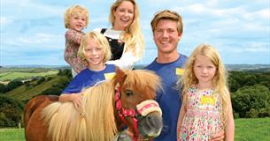 Mini Pony and Family