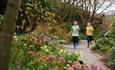 RHS Garden Rosemoor