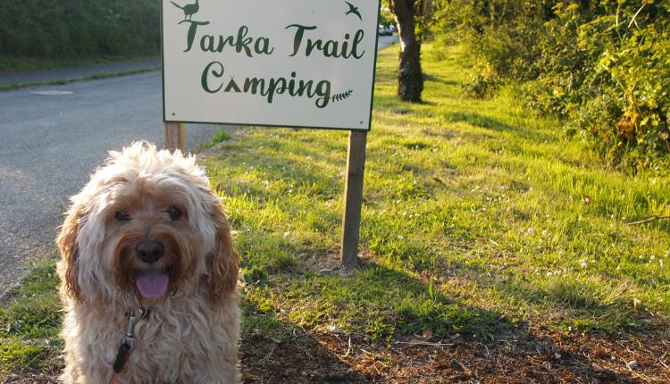 Tarka Trail Camping