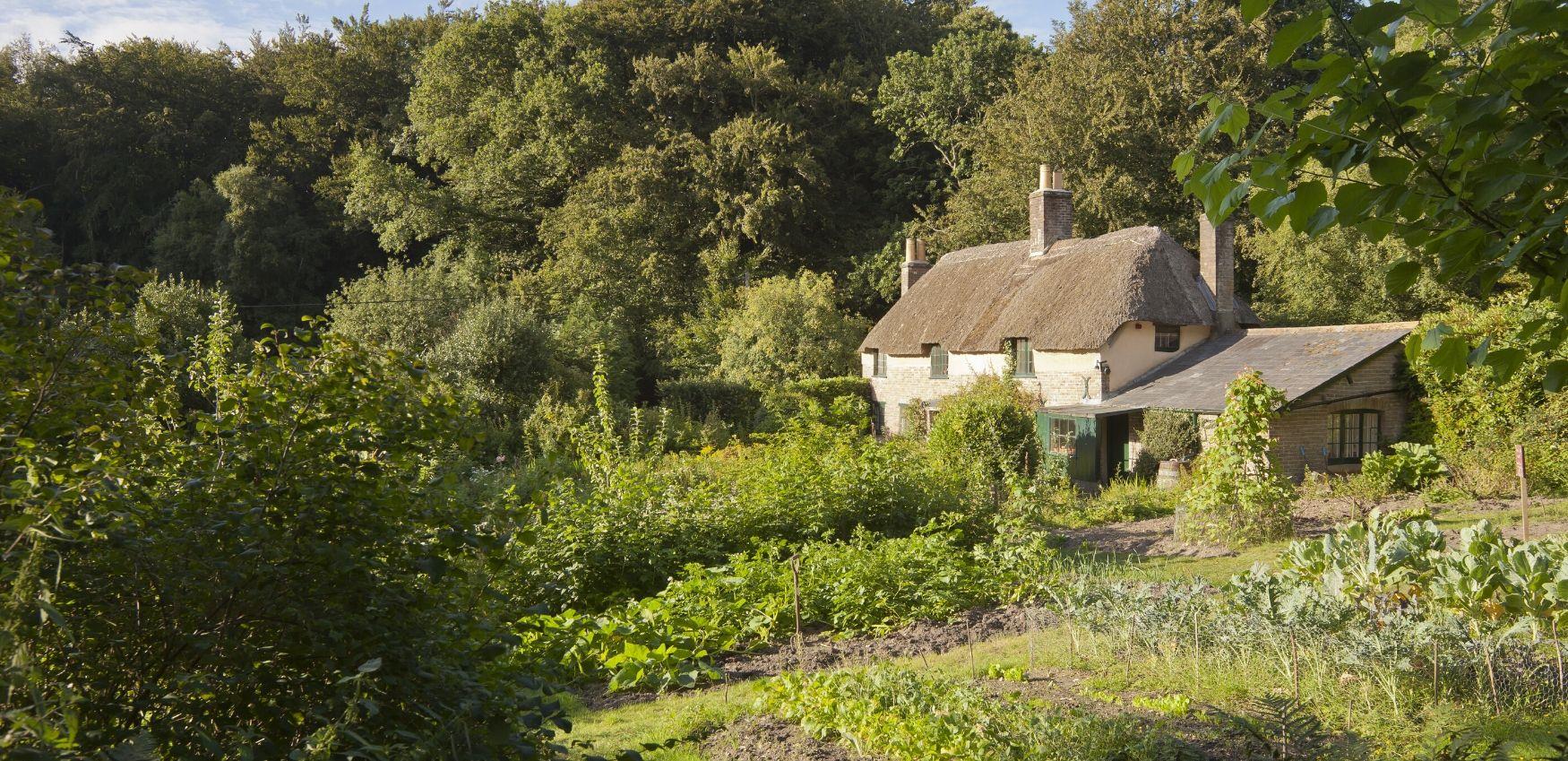Thomas Hardy Visit Dorset