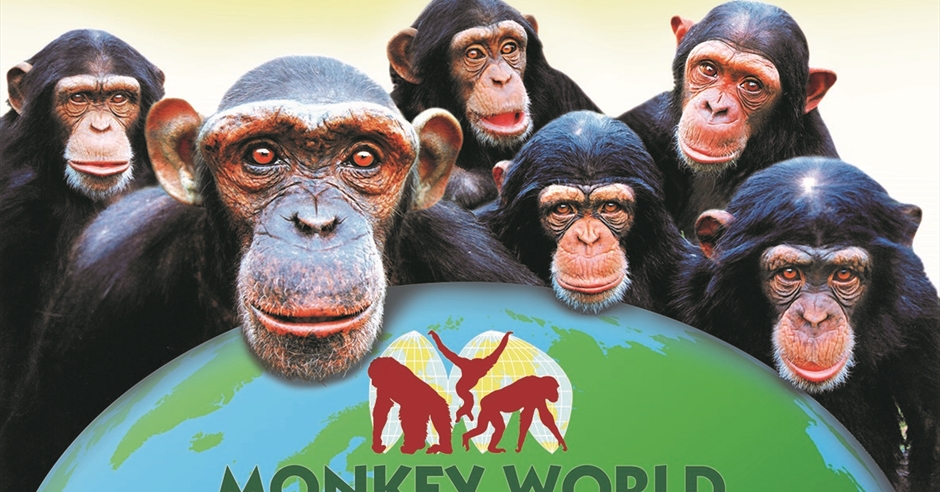 visit monkey world dorset