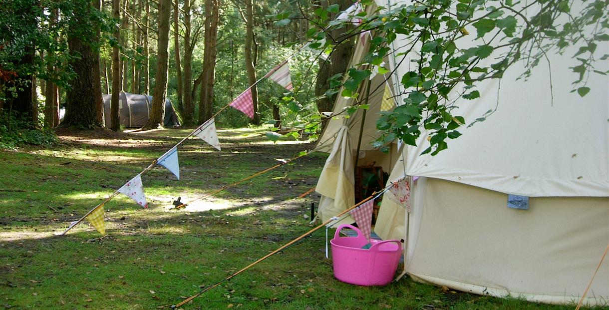 Wareham Forest Tourist Park Wareham Visit Dorset