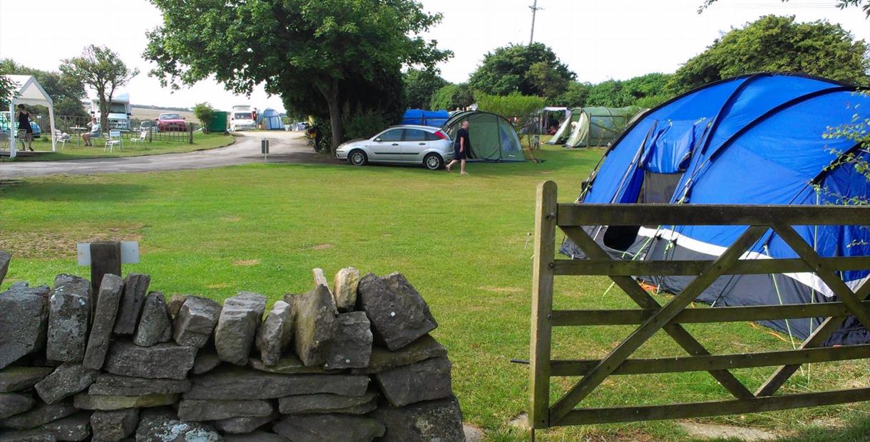 Tom's Field Campsite and Shop SWANAGE Visit Dorset