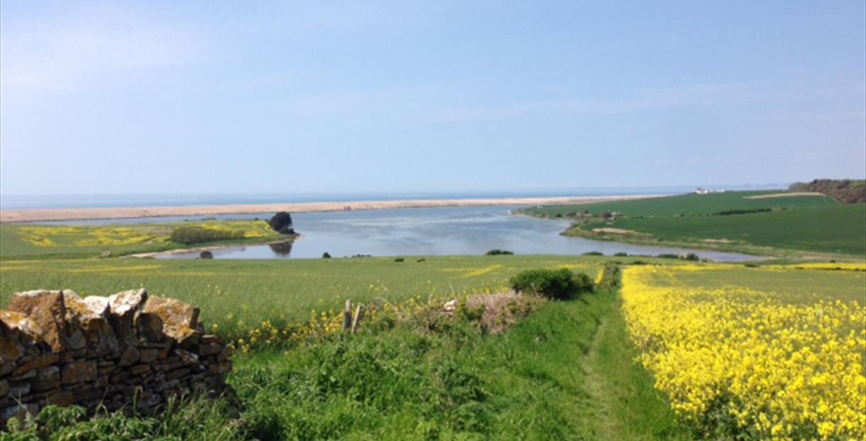 Chesil Beach Visit Dorset