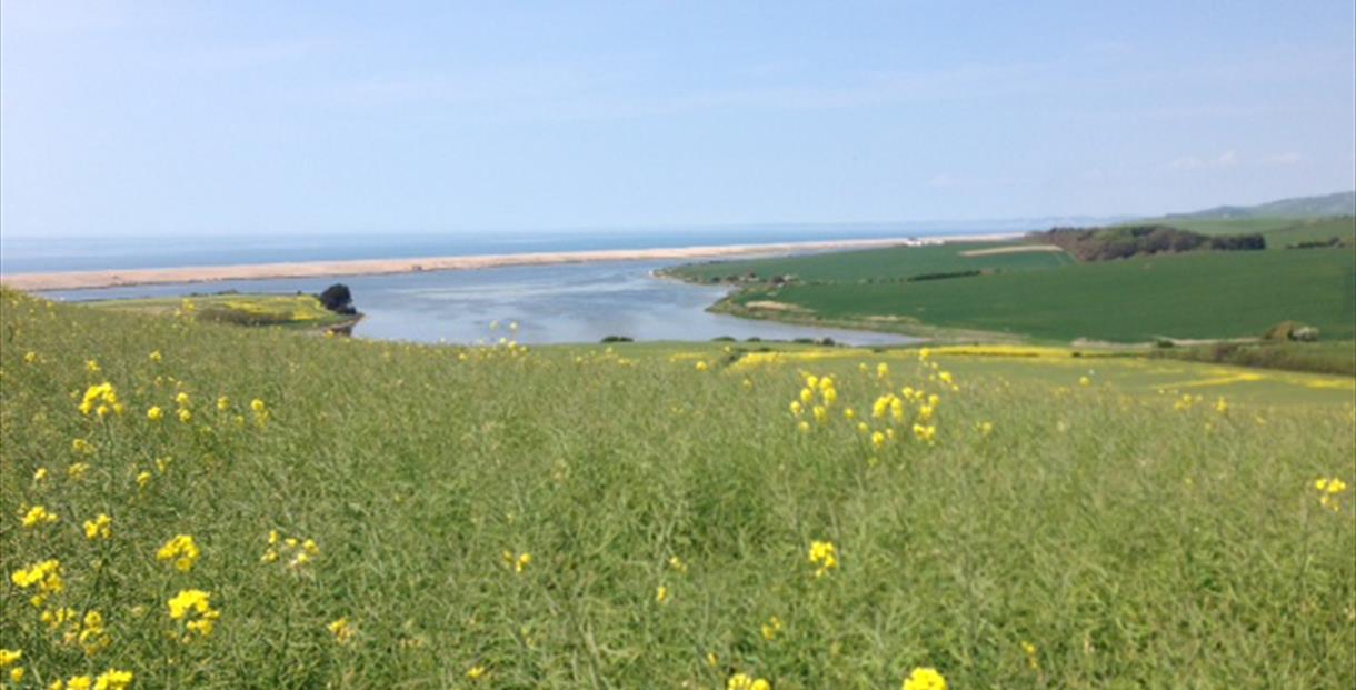 Downloadable Walks from Bus Stops Chickerell Fleet Lagoon Circular Visit Dorset