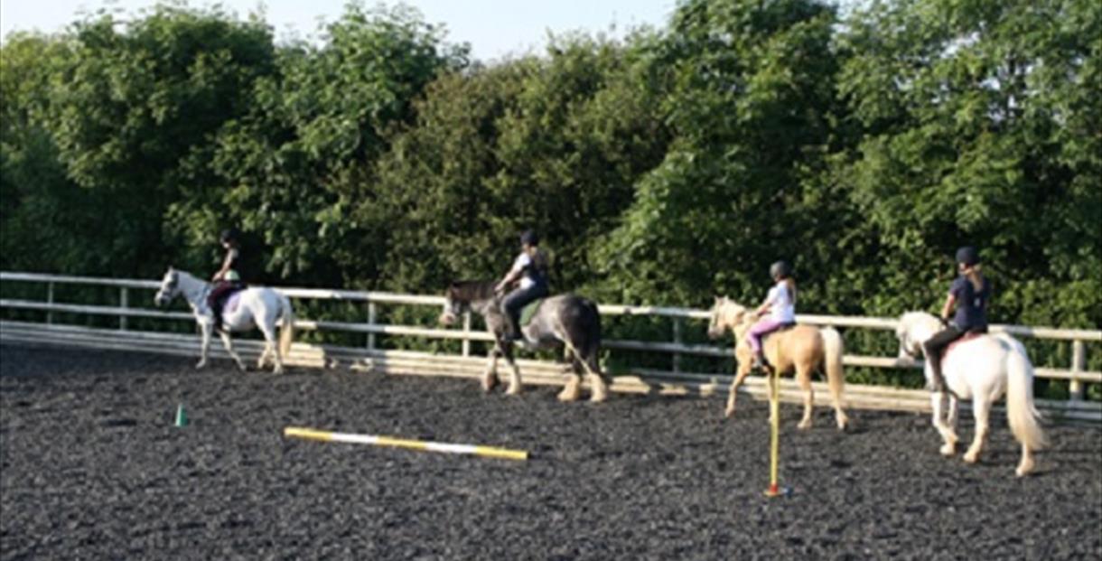 Rosewall Equestrian Visit Dorset