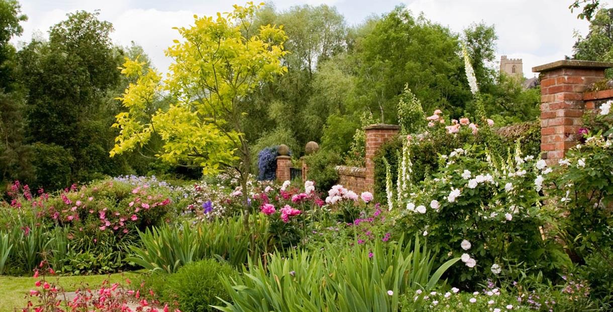 Netherbury Gardens Open Weekend Visit Dorset