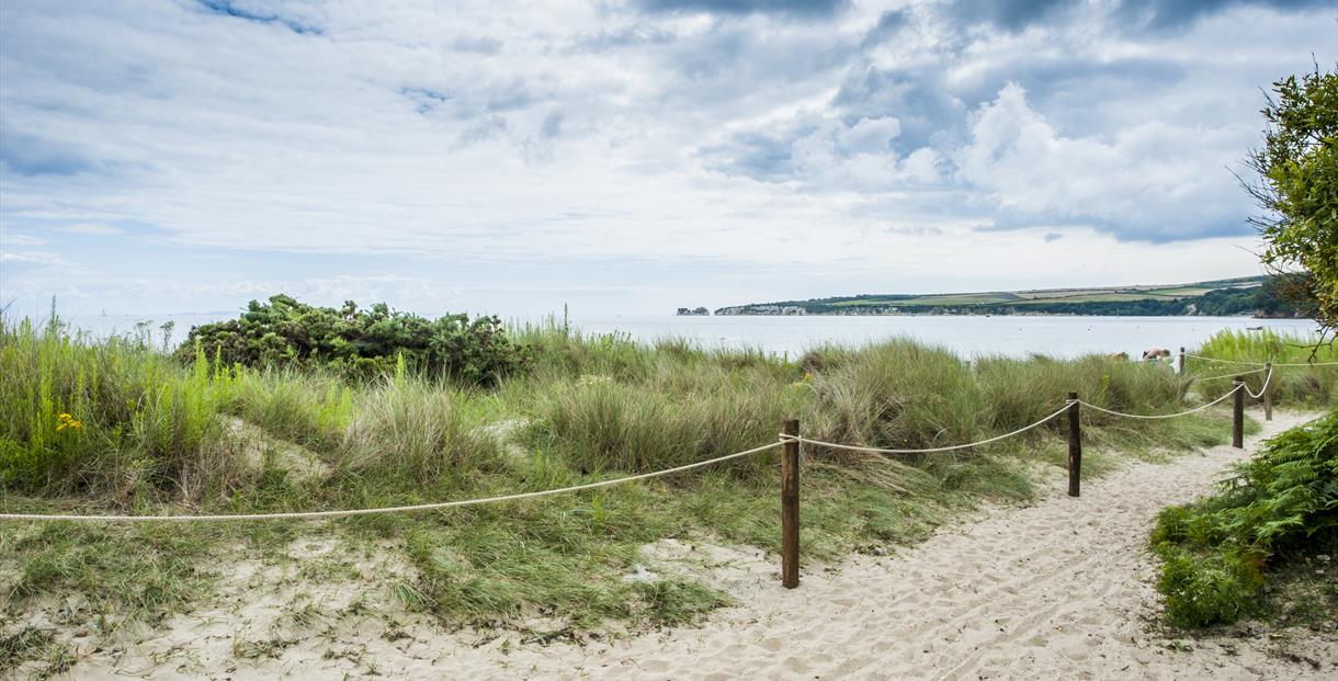 Studland Bay Visit Dorset