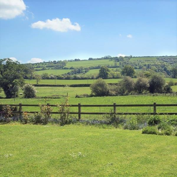 Lush green fields in Dorset